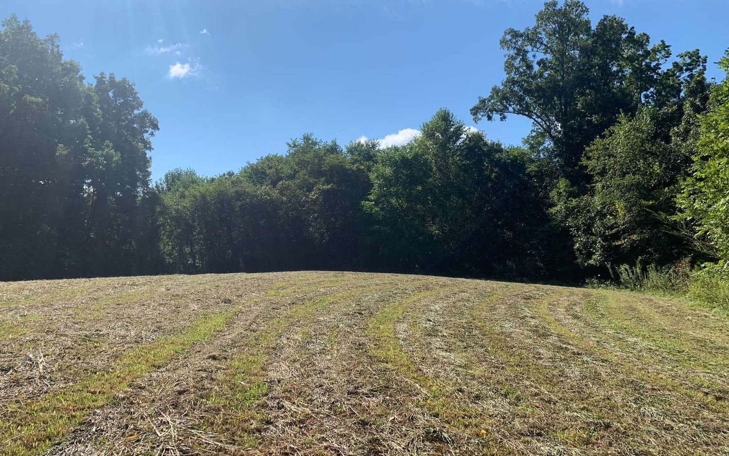 69 Hwy 64 W, Hayesville, NC 28904